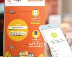 Visa partners with Paga on payments and fintech for Africa and abroad