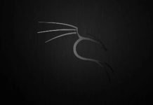 How to Install and Run Kali Linux on any Android Smartphone