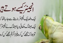 انجینئر کیسے ہوتے ہیں؟