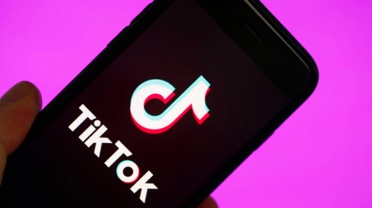 TikTok is banned for immoral and indecent content in Pakistan.