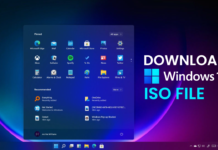 Download Windows 11 ISO File 64bit Latest